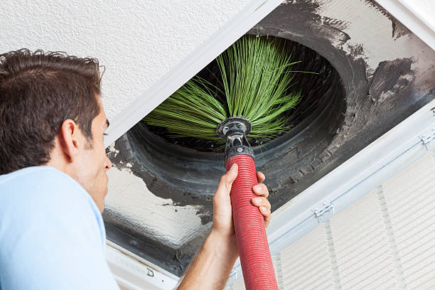 Best Affordable Air Duct Cleaning  in Elsberry, MO